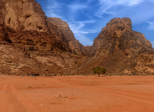 istock Green Alone Tree, Mountains and Rocks at Wadi Rum 1724642479