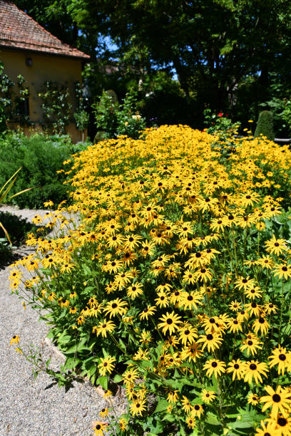 istock Yellow sun hat in a park 1724642758