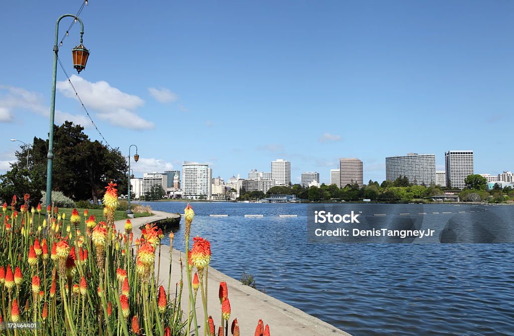 View along the banks of Lake Merritt in Oakland A long-range shot of the Oakland skyline from the banks of Lake Merritt.  Yellow and red flowers are positioned in the foreground.  A sidewalk running along the side of the lake is visible.  Between the flowers and skyline is a lightpost and a large tree.  In the background is a sunny, blue sky with a few clouds. Oakland - California Stock Photo