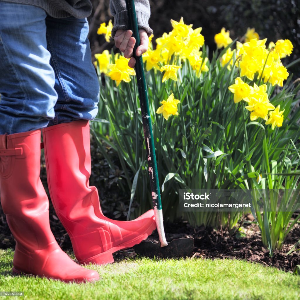 Gardening:  Edging the lawn  Yard - Grounds Stock Photo