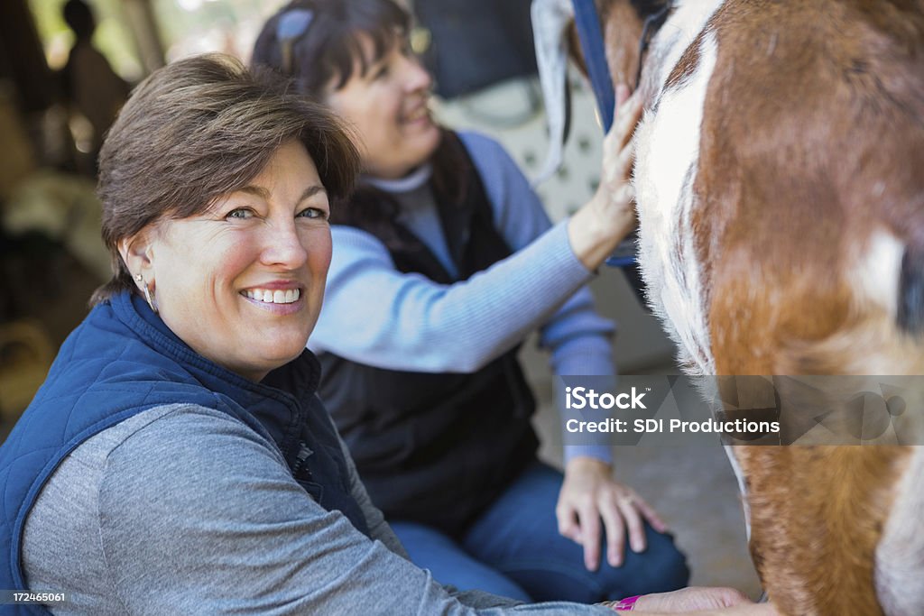 Mujeres en la rural región de América teniendo cuidado de animales de granja - Foto de stock de Acariciar a un animal libre de derechos