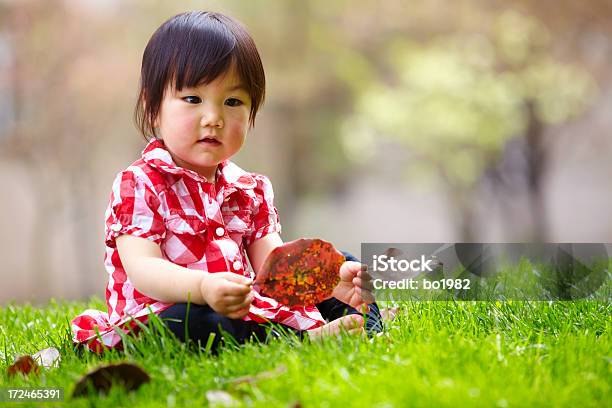 Hübsches Kleines Mädchen Auf Gras Stockfoto und mehr Bilder von 12-23 Monate - 12-23 Monate, 18-23 Monate, Asiatischer und Indischer Abstammung
