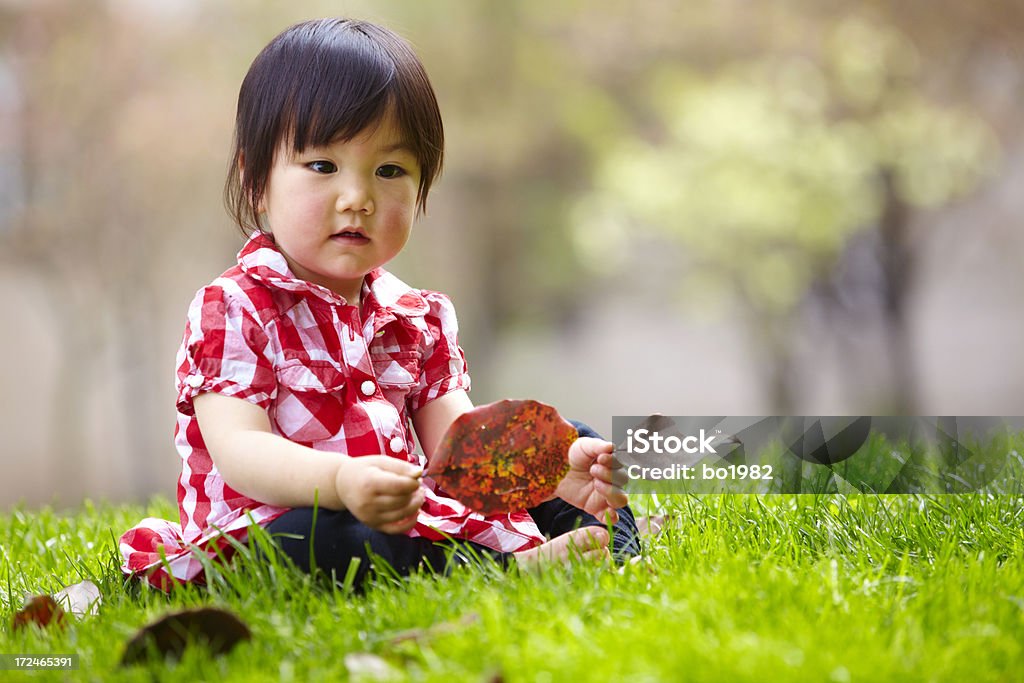 美しい小さな女の子の芝生 - 1人のロイヤリティフリーストックフォト