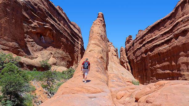 Randonnée dans le désert red rocks - Photo