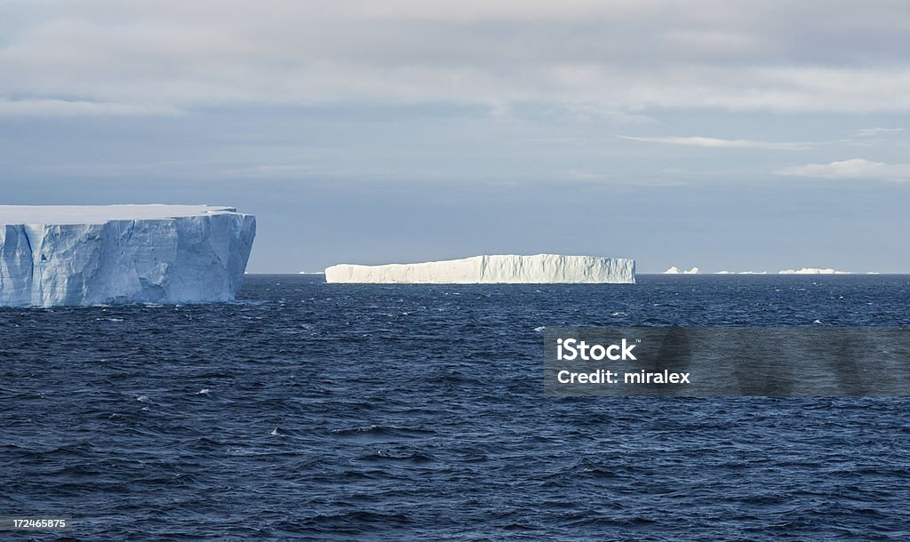Icebergs tabulaire flottant dans l'Antarctique - Photo de Antarctic Sound libre de droits