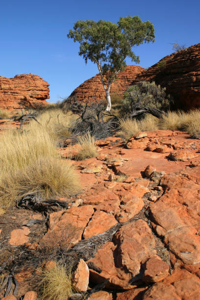 istock Kings Canyon, Northern Territory 172466130