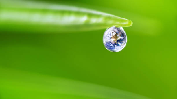 istock Earth in water drop on green 172466399