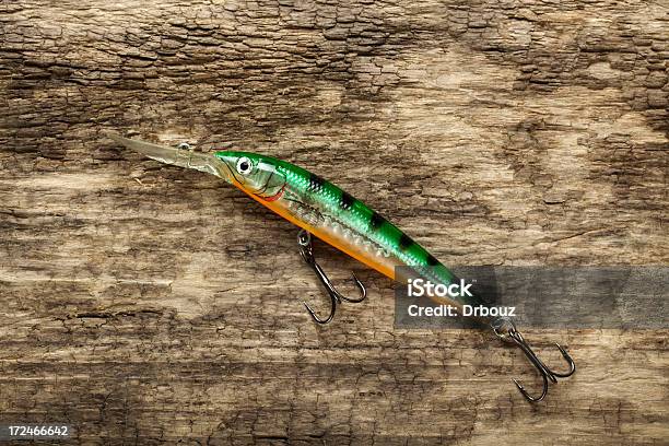 Pesca Lure - Fotografias de stock e mais imagens de Afiado - Afiado, Anzol de Pesca, Desporto