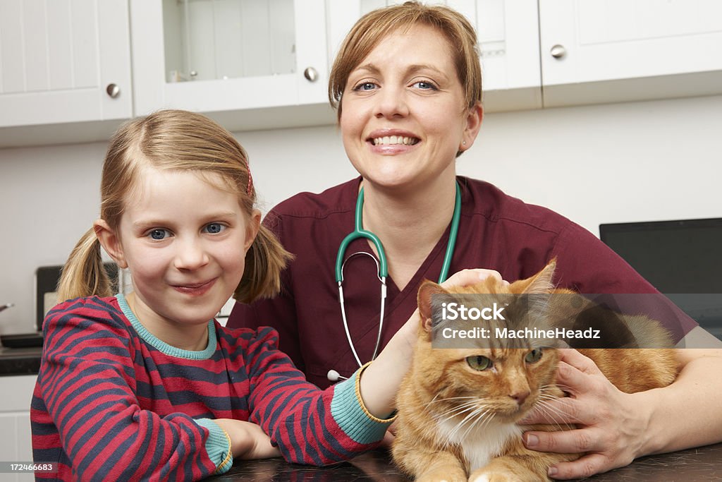 Enfants prendre le Cat en direction de vétérinaire pour examen - Photo de 6-7 ans libre de droits