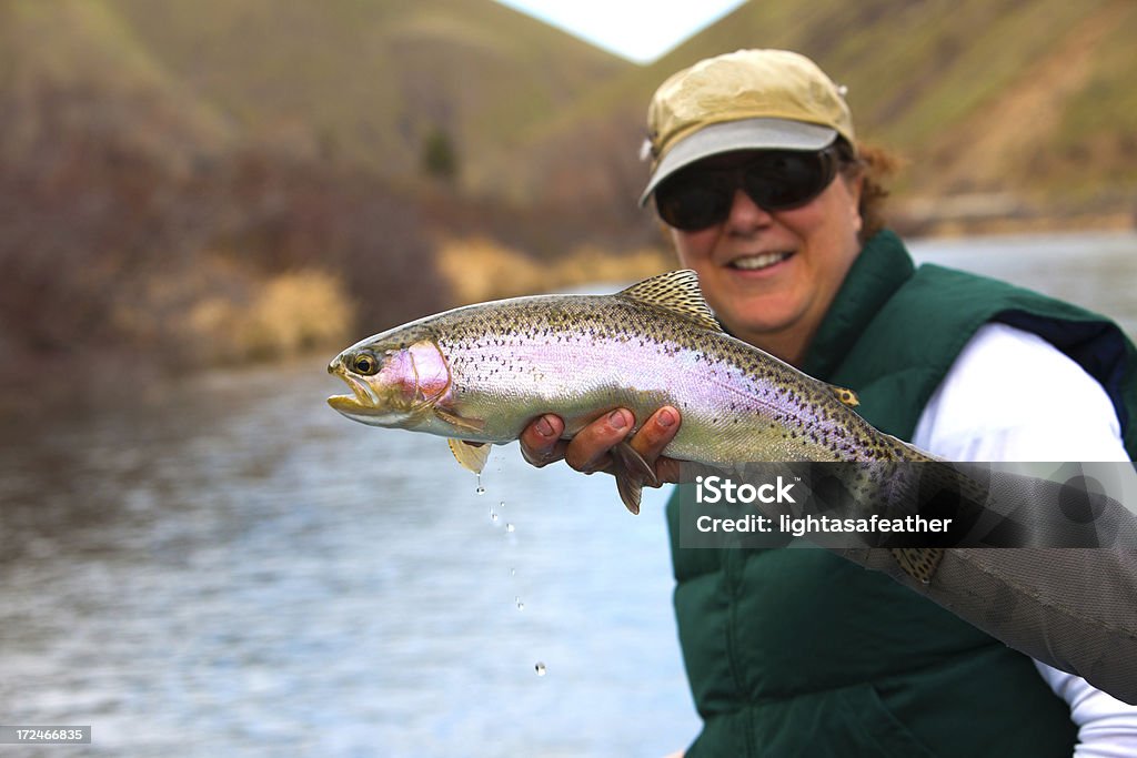 ニジマス Flyfishing - 中年の女性のロイヤリティフリーストックフォト