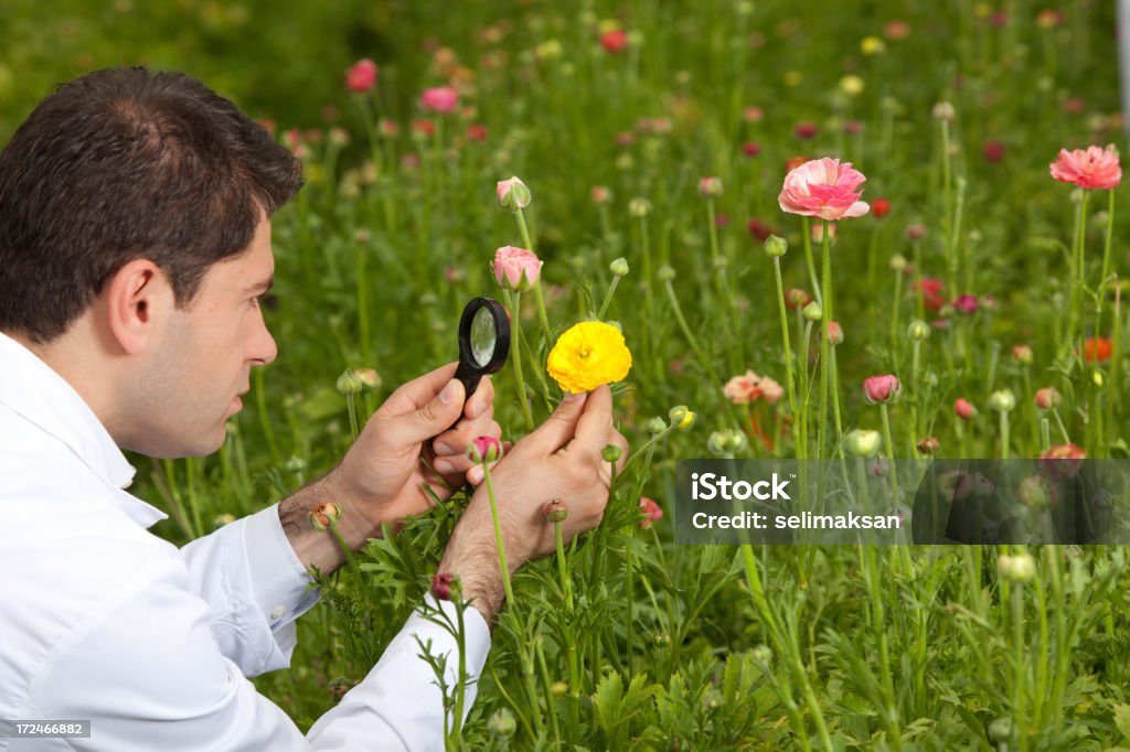 Analisar botânica de plantas com lupa - Foto de stock de Adulto royalty-free