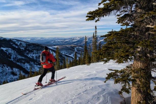 istock Skiing in the Backcountry 172466932