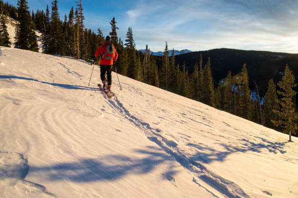 istock Skiing in the Backcountry 172467315