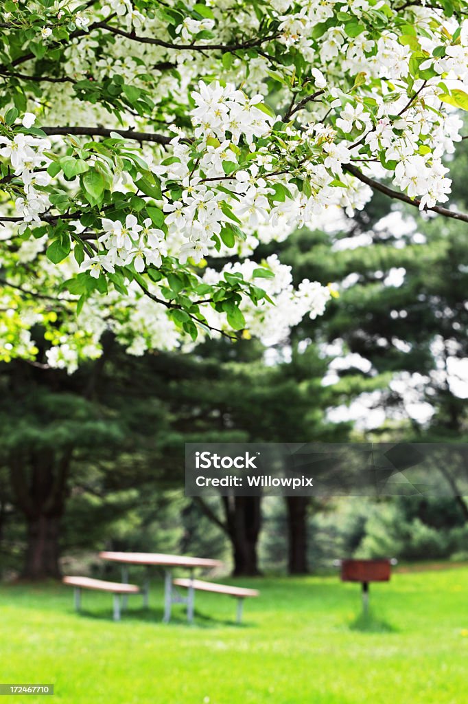 크랩 사과 잎과 피크닉 표 - 로열티 프리 0명 스톡 사진