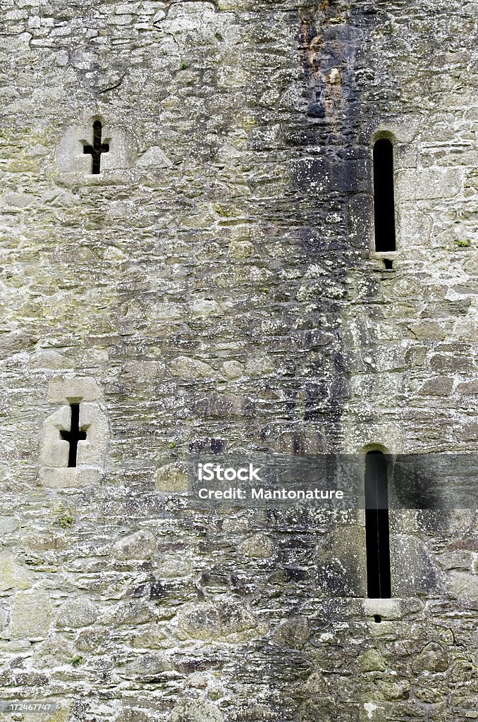 Ruiny zamku Threecastles, Co.Wicklow (szczegóły) - Zbiór zdjęć royalty-free (Architektura)
