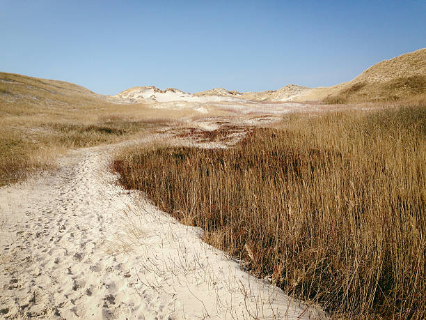 paisaje de dunas - amrum summer spring island fotografías e imágenes de stock