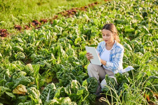 istock Young woman farmer using a digital tablet while examining plants in the farm field on a sunny day. 1724682861