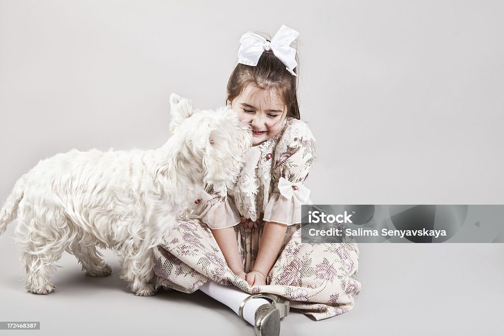 Mignonne Petite fille jouant avec chien - Photo de Activité de loisirs libre de droits