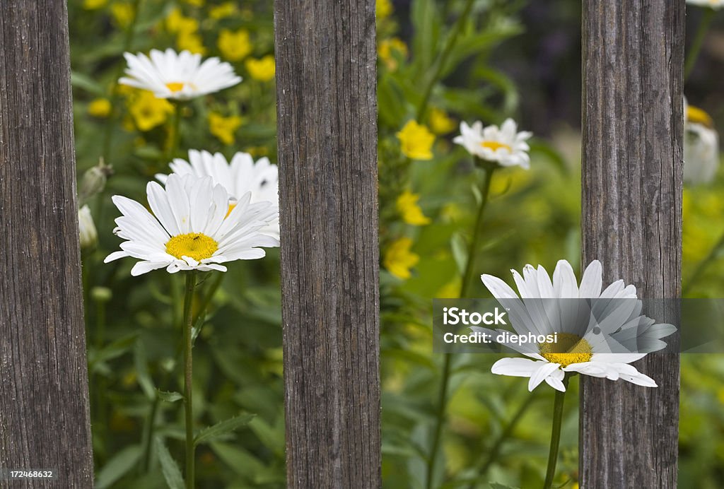 Hinter bars - Lizenzfrei Gartenzaun Stock-Foto