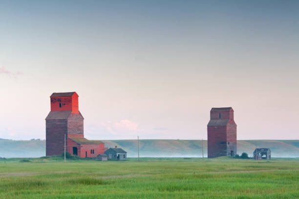 prairie-grain-aufzüge - regina fog morning saskatchewan stock-fotos und bilder