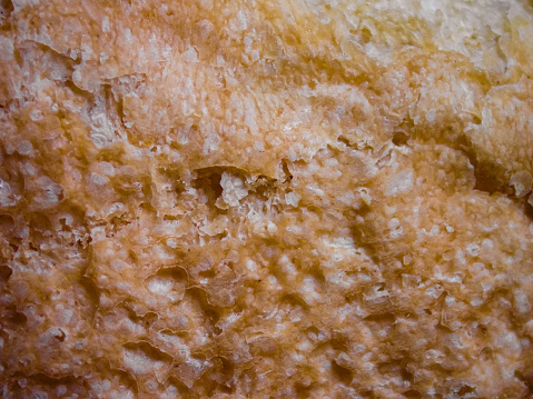 Image taken with a microscope bread crust.