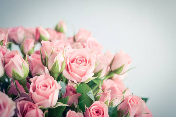 istock Bouquet of pink roses 1724690264