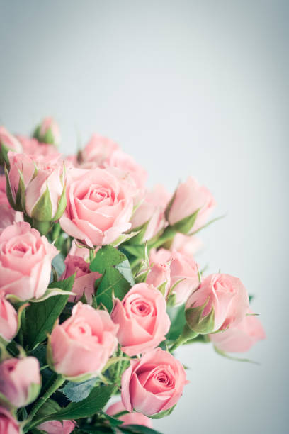 istock Bouquet of pink roses 1724690902