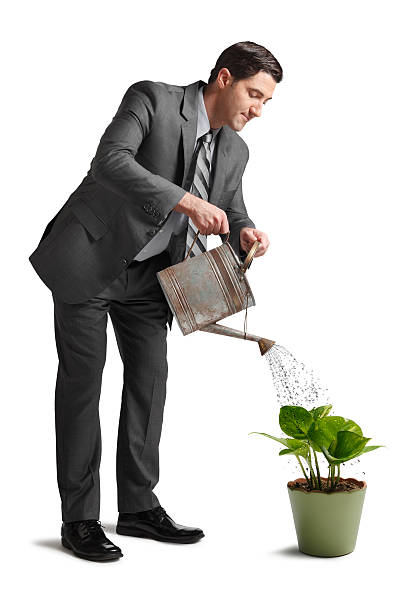 istock Businessman watering plant isolated on white background 172469114