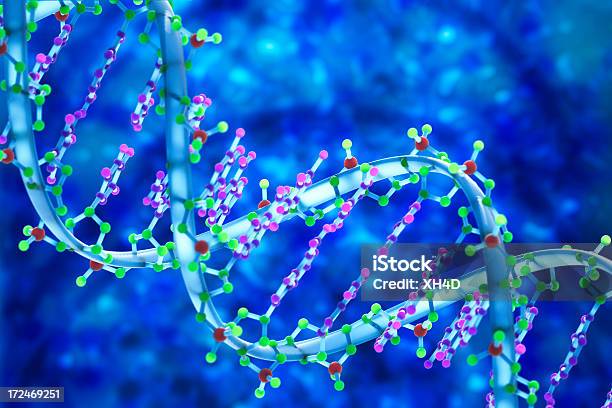 Днк В 3d Медикобиологическое Изображение — стоковые фотографии и другие картинки Дезоксирибонуклеиновая кислота - Дезоксирибонуклеиновая кислота, Винтовая поверхность, Модель спирали ДНК