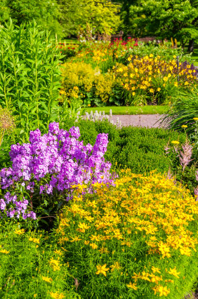 istock Flower beds in park 172469307