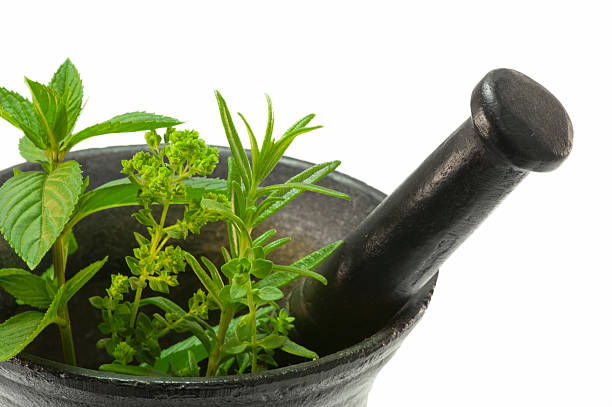 Green herbs stock photo