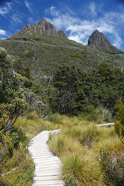 istock Cradle Mountain with wilderness boardwalk in foreground 172469461