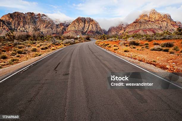 Road Tohills Stockfoto und mehr Bilder von Anhöhe - Anhöhe, Ausgedörrt, Baum