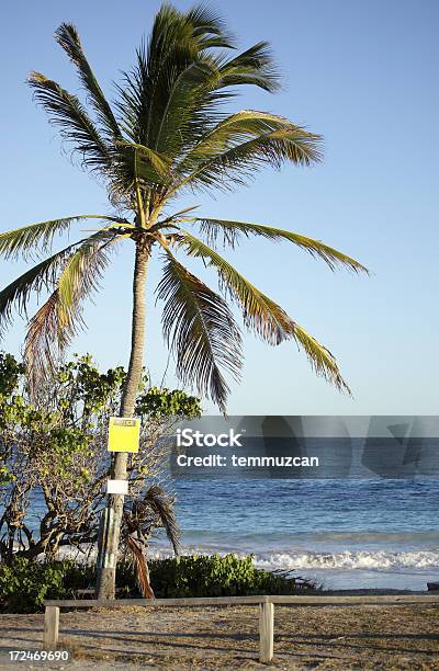 Plaża Seria - zdjęcia stockowe i więcej obrazów Antigua - Antigua, Antigua i Barbuda, Bez ludzi