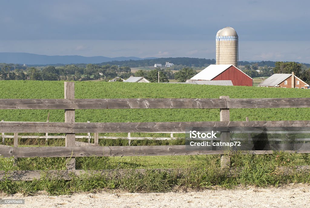 Barn sfondo di paesaggio di estate, sole terreni agricoli in Pennsylvania - Foto stock royalty-free di Pennsylvania