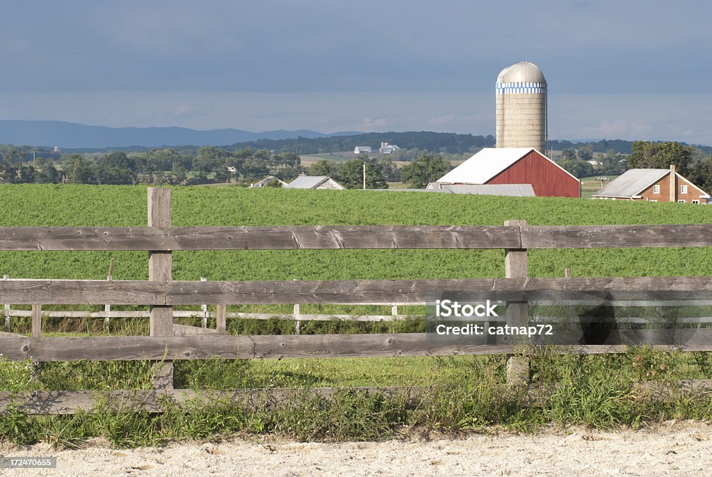 バーン景色を背景に、晴れた夏の農場の農地にペンシルバニア州） - ペンシルベニア州のロイヤリティフリーストックフォト