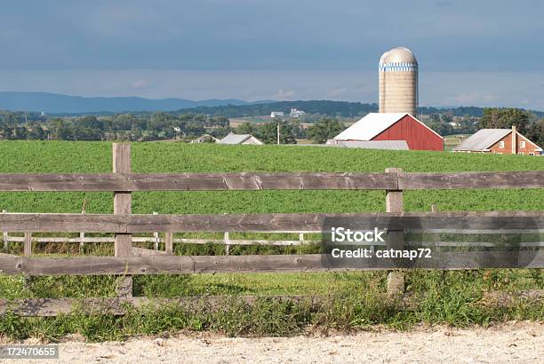 バーン景色を背景に晴れた夏の農場の農地にペンシルバニア州 - ペンシルベニア州のストックフォトや画像を多数ご用意 - ペンシルベニア州, アメリカ合衆国, カラー画像