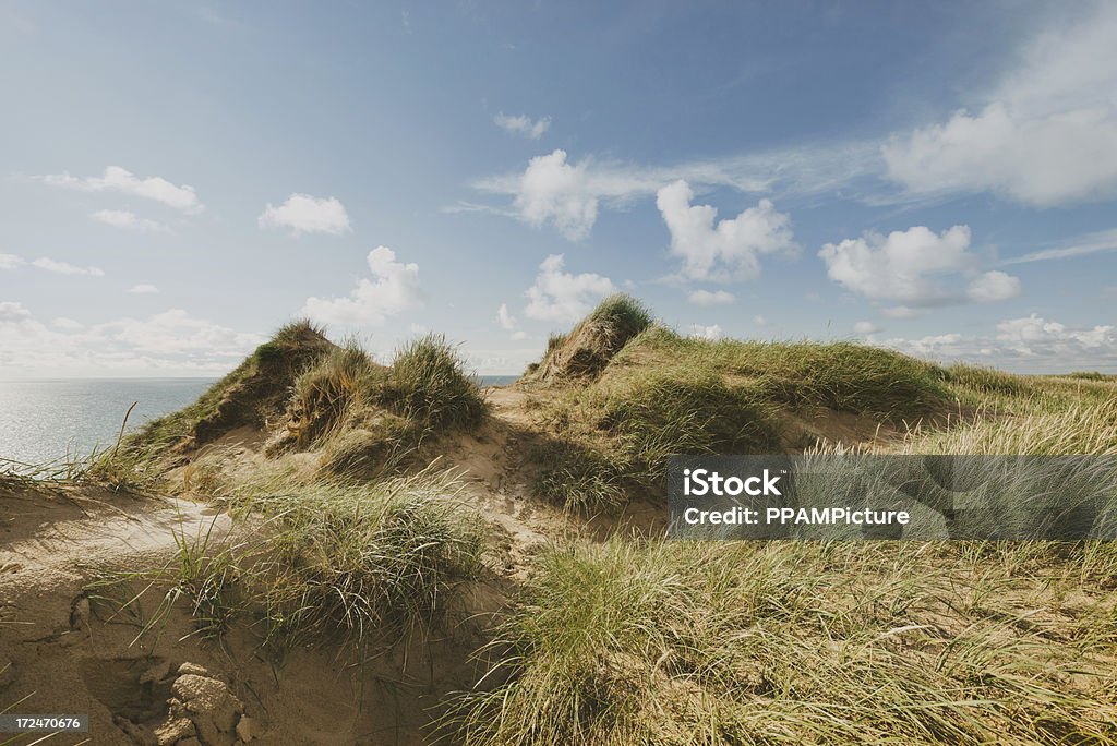 Дюна пейзаж - Стоковые фото Облако роялти-фри