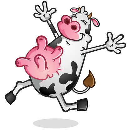 A smiling cow cartoon character with black and white spots and a big round full udder frolicking cheerfully through the meadow and loving life