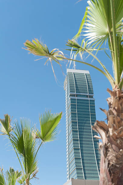 istock financial building in Bahrain with palm tree 172471220