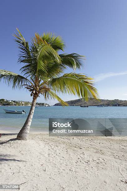 Strandserie Stockfoto und mehr Bilder von Antigua &amp; Barbuda - Antigua & Barbuda, Antigua - Inseln unter dem Winde, Baum