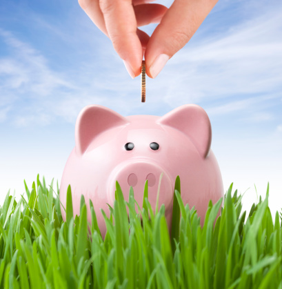 Savings. Piggy bank on grass.