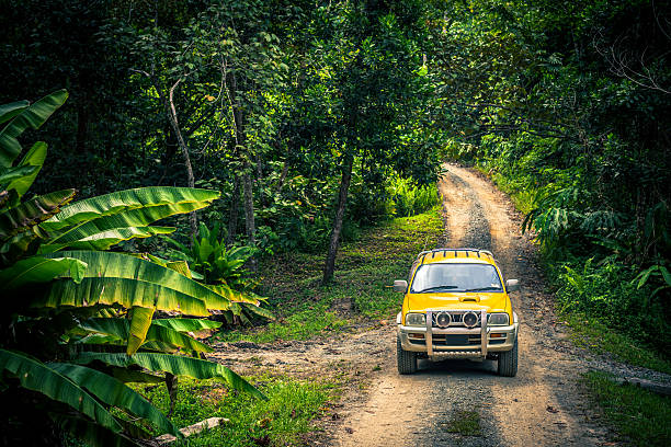 Jeep in the Forest, Jungle Adventure