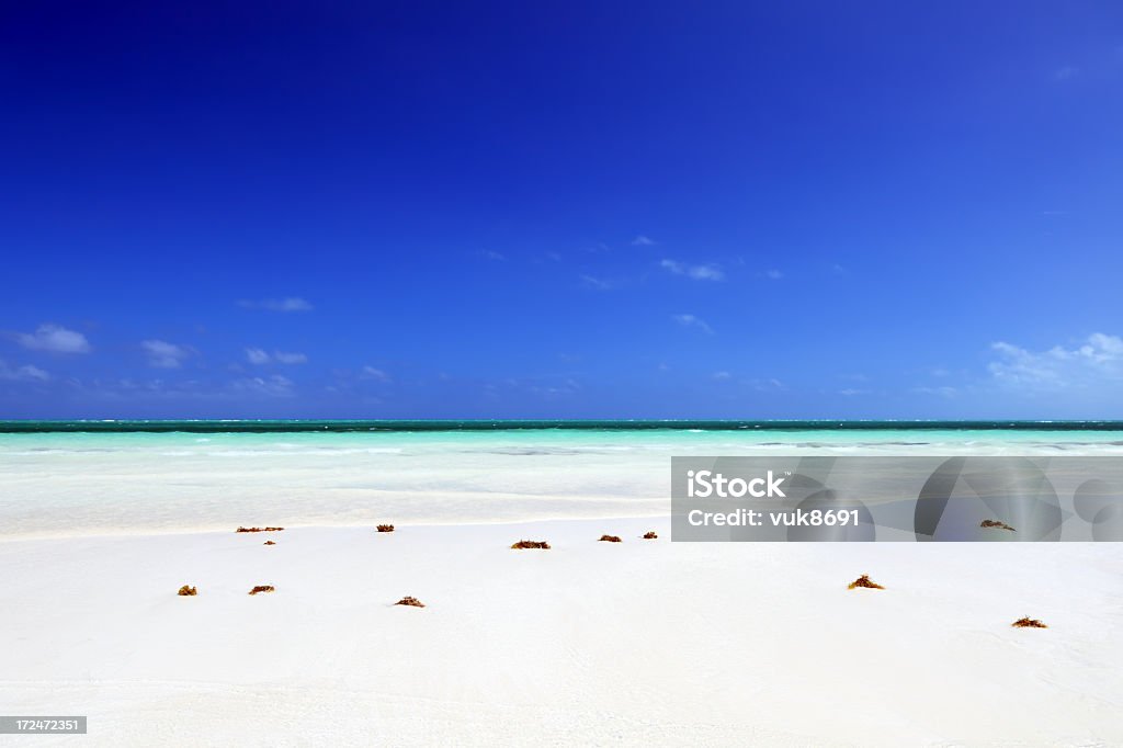 Praia Tropical - Royalty-free Alga marinha Foto de stock