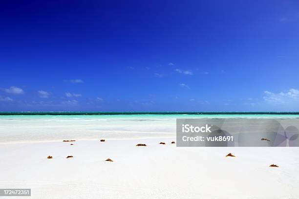 Praia Tropical - Fotografias de stock e mais imagens de Alga marinha - Alga marinha, América Latina, Ao Ar Livre