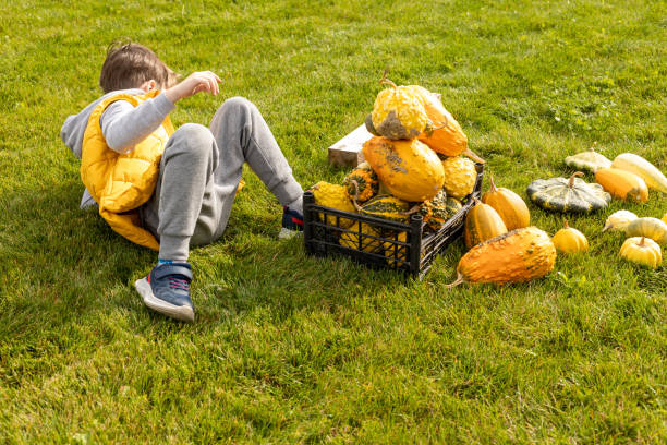 istock 6 year old boy harvesting zucchini on a farm 1724725989
