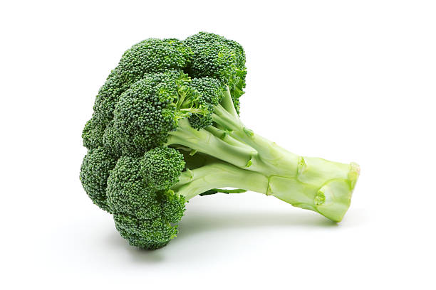 Broccoli Broccoli isolated on a white background. broccoli stock pictures, royalty-free photos & images