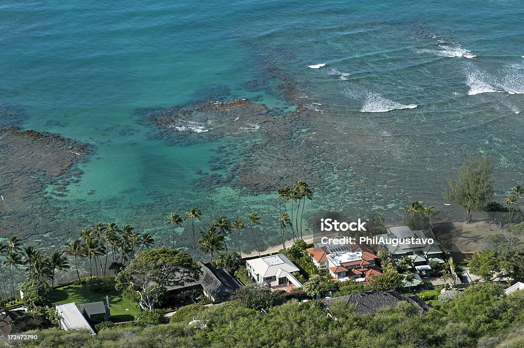 Maisons au bord de l'océan au pied du cratère du Oahu - Photo de Arbre libre de droits