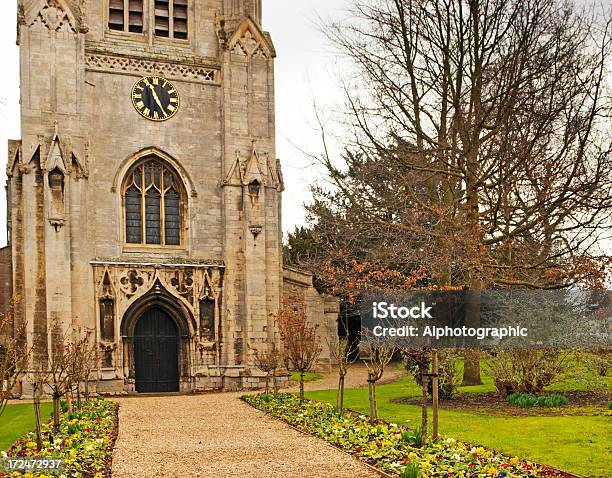 St Marys Church Cambridgeshire Huntingdon Stockfoto und mehr Bilder von Architektur - Architektur, Blume, Blume aus gemäßigter Klimazone