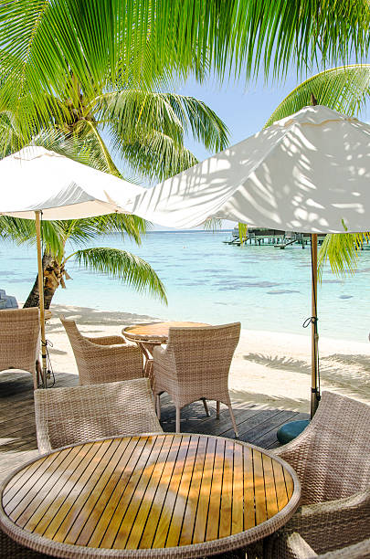 istock an outdoor restaurant with palm trees overlooking a lagoon 172472949